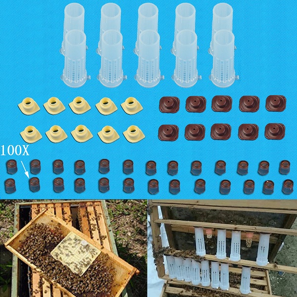 

Rearing Cupkit Box Cupularve Tools Bee Keeper Tools Apiculture Bee Tool Set Beekeeping