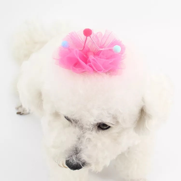 

1POC Pet Products Hair Ornament Crown Hairpin Princess Hat Accessories