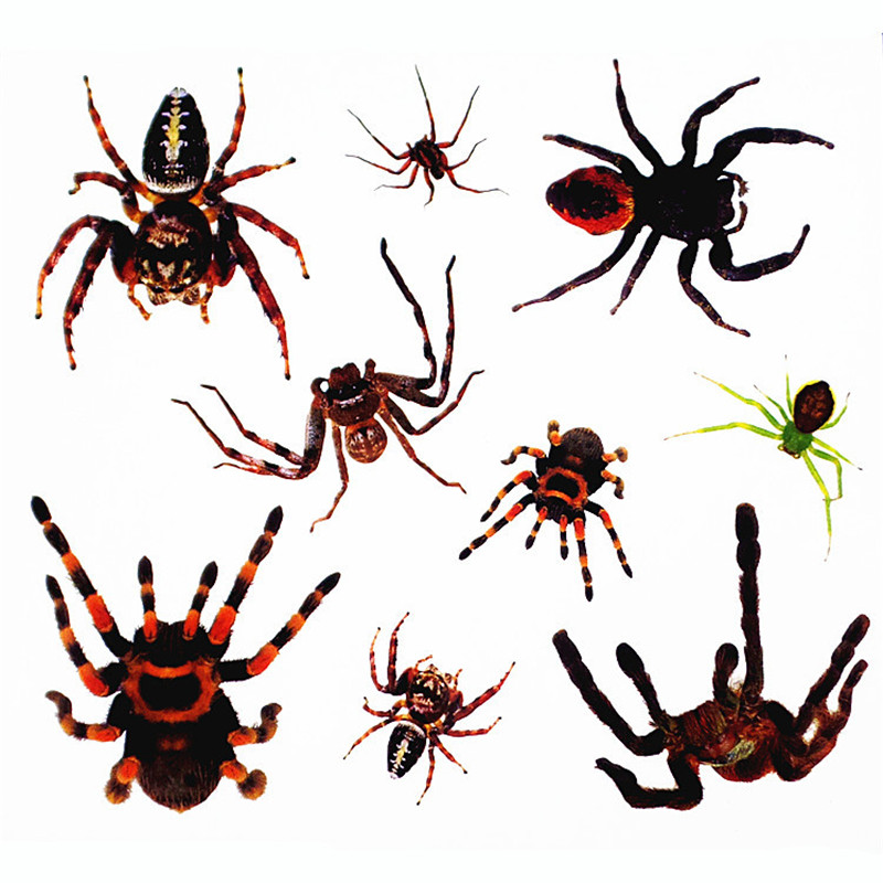 

5шт Временный Водонепроницаемы Хэллоуин паук Террор Тату Наклейка для тела Art Decal Макияж
