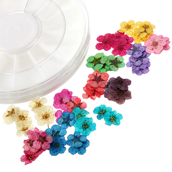 

Dry Flower Acrylic UV Gel Nail Art Decoration Wheel DIY