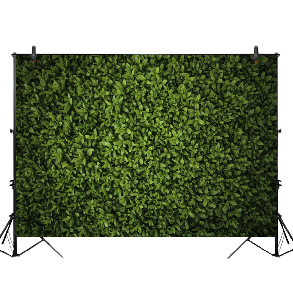 

5x3ft 7x5ft 10x6.5ft зеленые листья стены фон фотографии Декор стены фон для фото видео Свадебное день рождения