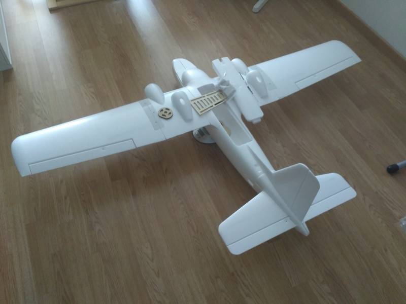 my twin dream rc plane