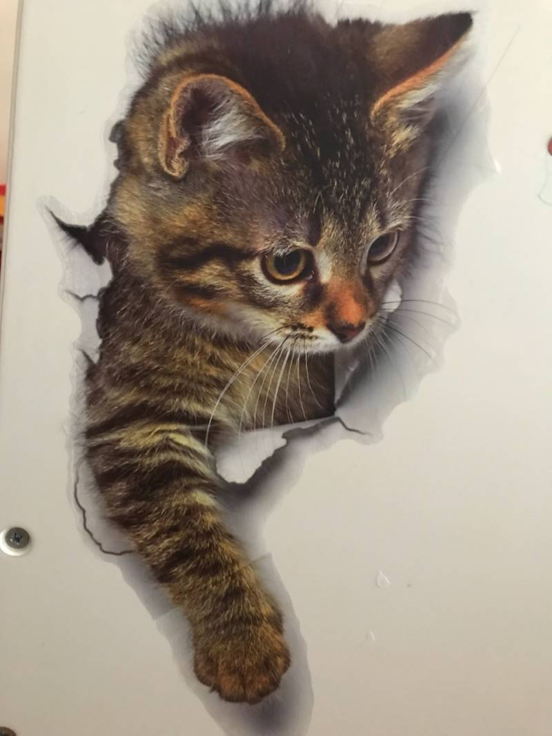 H775 chatons couchage mignon animaux windiow applique murale 3D art stickers vinyl chambre