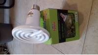 AC110V 80mm 25/40/50/60/75/100/150W E27 Infrared Ceramic Emitter Heat Light Bulb for Reptile Pets 