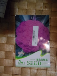 20pcs Heirloom Organic Flavor Vegetable Fruit Purple Cauliflower Seeds