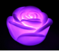 Color Roses LED Lights series Decorative Light  Wedding Lights