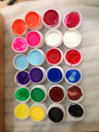 12 Pure Colors Nail Art UV Gel Builder Polish Set
