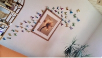 12Pcs 3D Butterfly Wall Sticker Fridge Magnet Home Decor Art Applique Decor Sticker