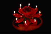 Lovely Musical Lotus Flower Rotating Happy Birthday Party Gift Candle Lights
