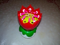 Lovely Musical Lotus Flower Rotating Happy Birthday Party Gift Candle Lights
