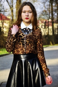 Elegant Women Bow Lapel Button Leopard Printed Party Chiffon Blouse