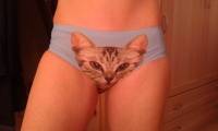 Pussycat Panties Women Sexy 3D Anti-exposure Cat Seamless Underwear Hiphugger Briefs 
