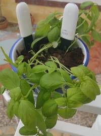 [Global Version] Xiaomi 4 In 1 Flower Plant Light Temperature Tester Garden Soil Moisture Nutrient Monitor