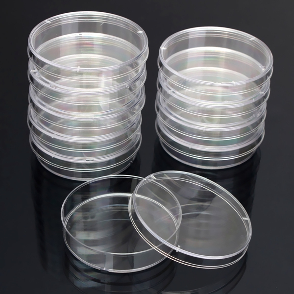 

10Pcs 55X15mm Disposable Clear Plastic Petri Dish Bacterial Culture Dish Plate