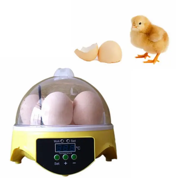 Automatic Egg Hatchery Incubator