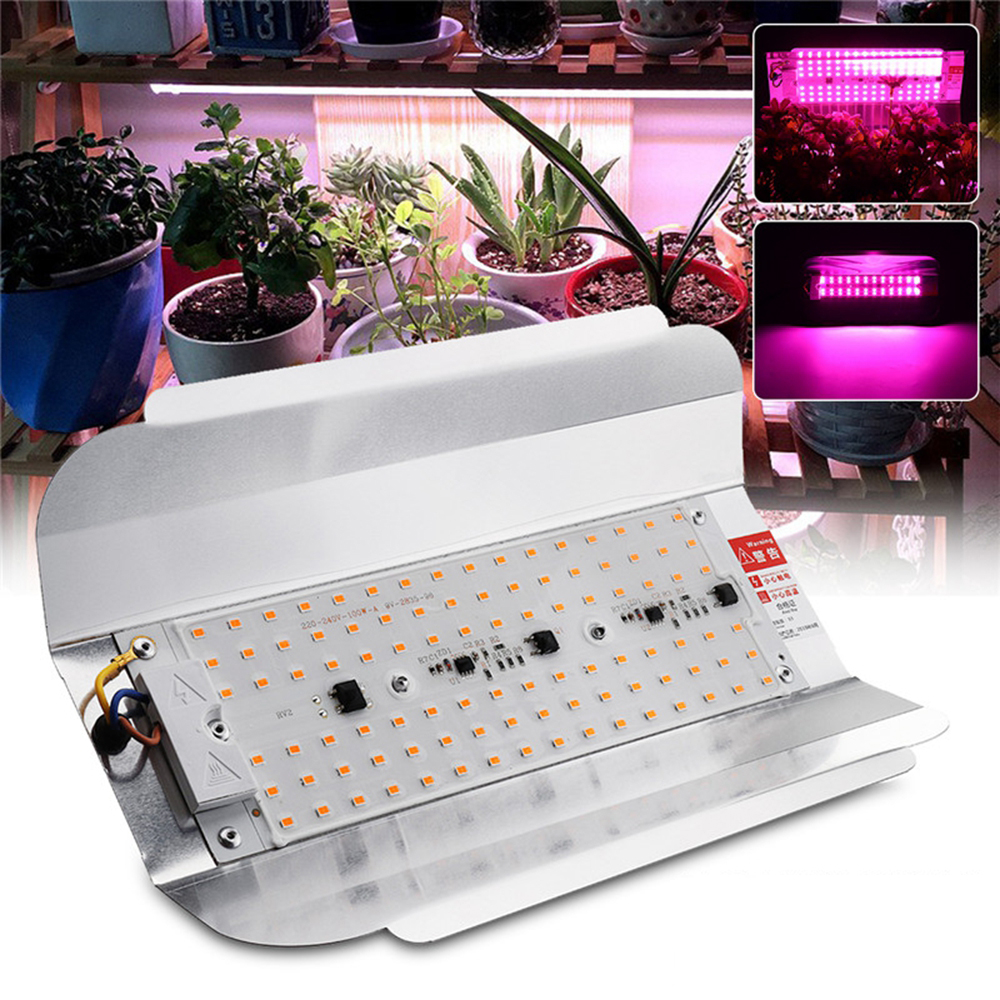 Полный спектр 50 Вт 100 Вт LED Растение Прожектор для выращивания цветов Прожектор На открытом воздухе Крытый Лампа AC220V
