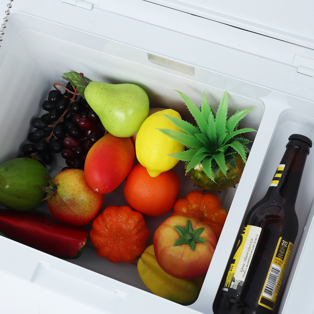 Portable Home Refrigerator