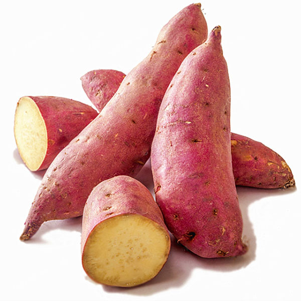 

Egrow 20Pcs / Сумка Сладкий картофель Семена Ферма для овощей из свежих продуктов Сад Растения Красное фиолетовое картоф