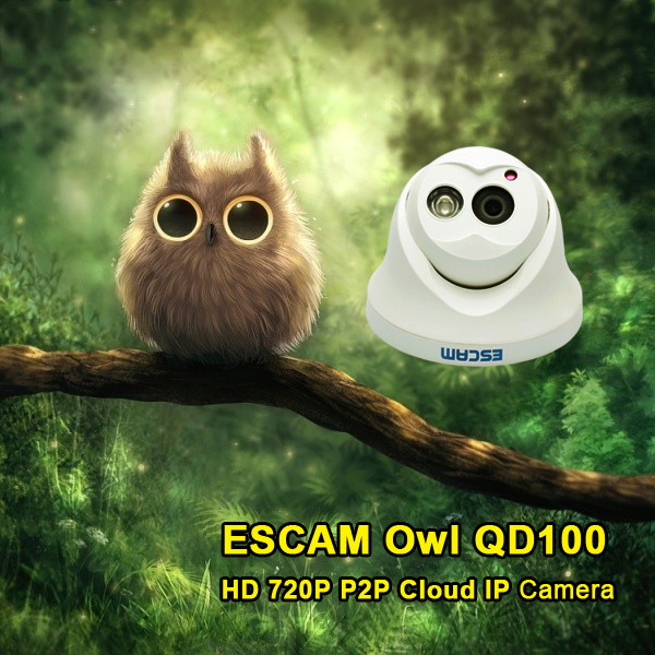 

Escam QD100 720P IP камера Сеть IR-Cut P2P ИК Поддержка обнаружения движения ночного видения Onvif камера