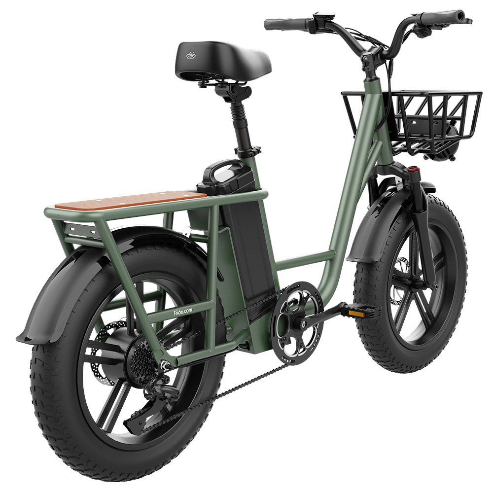 Find [CA Direct] FIIDO T1 48V 20AH 750W 20*4.0in Electric Bicycle 150 KM Mileage 150 KG Payload Mechanical Disc Brake Electric Bike for Sale on Gipsybee.com with cryptocurrencies