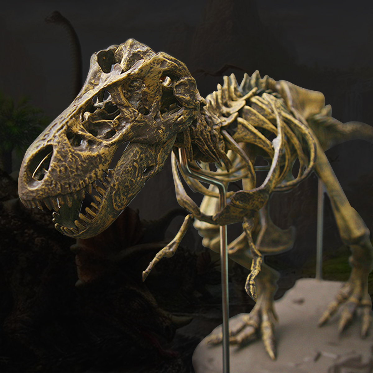 

Юрские Динозавры Тиранозавр Рекс Скелет Trex Модель Животных Детские Игрушки Подарок