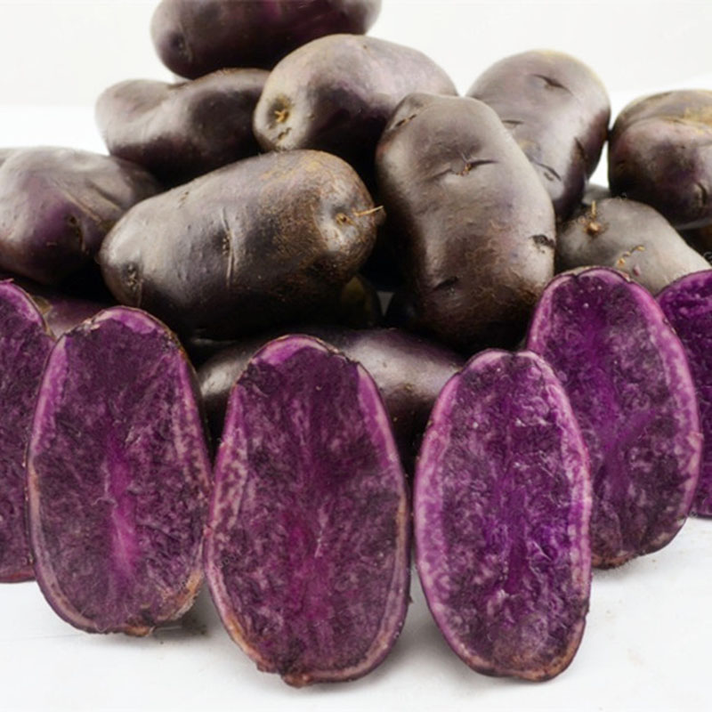 

Egrow 100 Шт. / Упак. Фиолетовый Сладкий Картофель Семена Питание Зеленый Овощ Бонсай Фермы