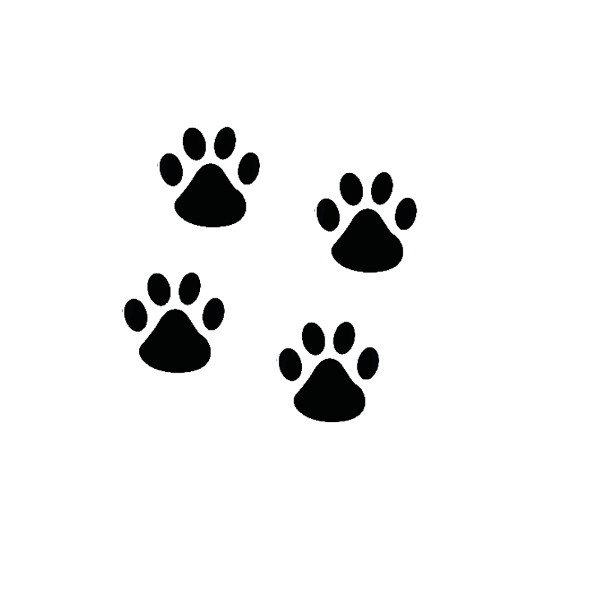

4 Собака Footprint Персонализированные Авто Наклейки Авто Грузовой автомобиль мотоцикл Декаль