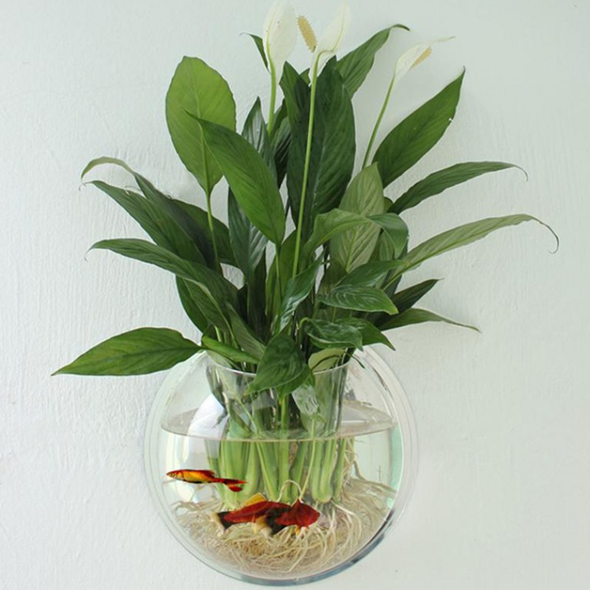

Acrylic Aquarium Fish Tank Wall Mounted Hanging Plant Pot Grow Vase Home Decor