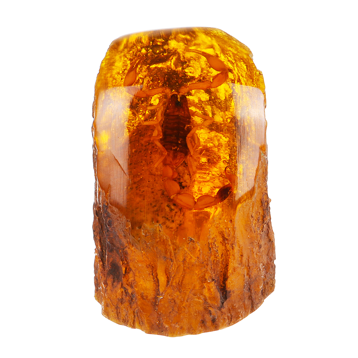 

Amber Scorpion Amber Fossil True Insect Specimens Manual Decorations Gifts