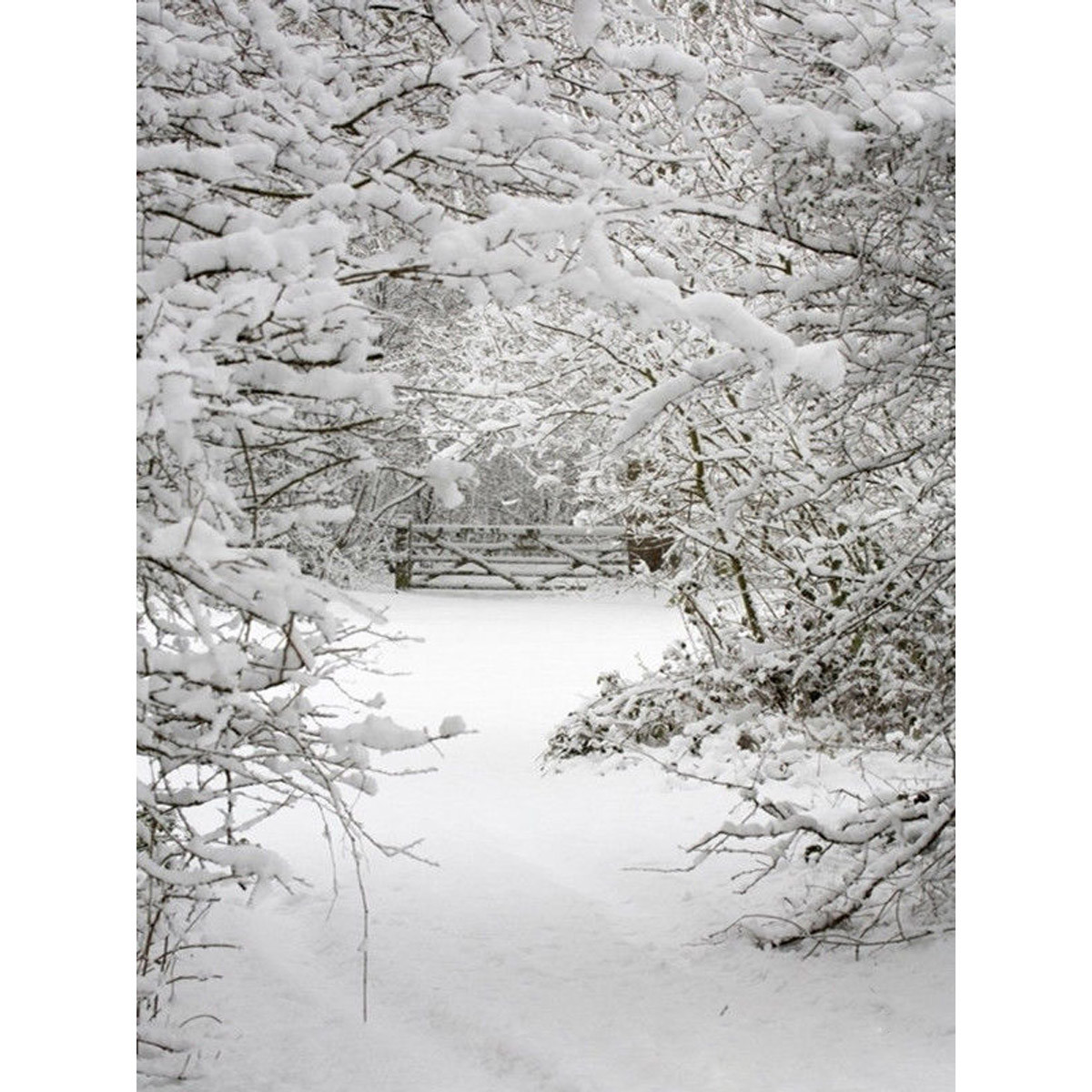 

3x5FT Vinyl Winter Forest Snow Photography Backdrop Background Studio Prop
