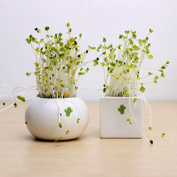 

DIY Mini Ceramic Cactus Grass Potted Plant Desktop Office Decor