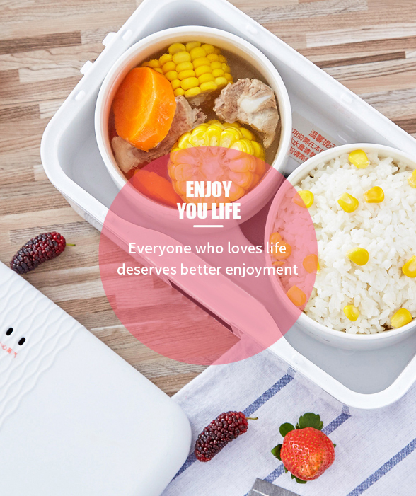 LIFE ELEMENT F15 Smart Timing Electric 300W Double Ceramic Lunch Box Insulation Rice Lunchbox 9