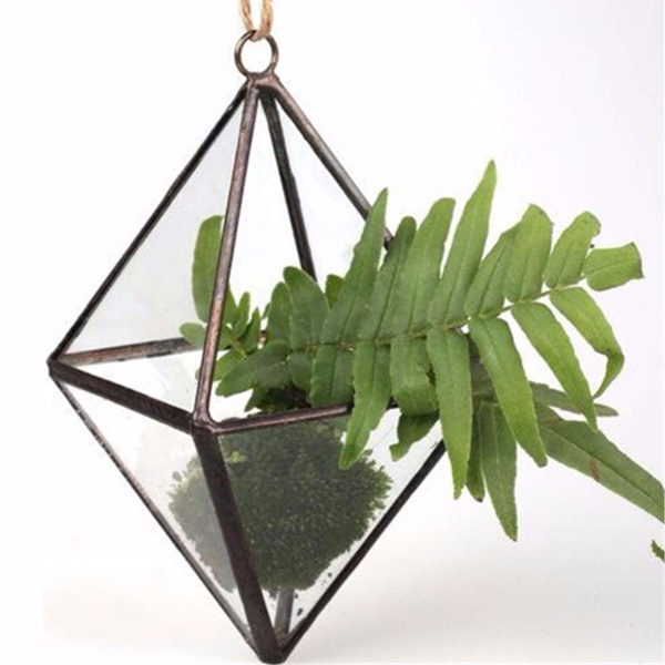 

DIY Micro Landscape Prismatic Greenhouse Glass Terrarium Succulent Plants Flower Pot