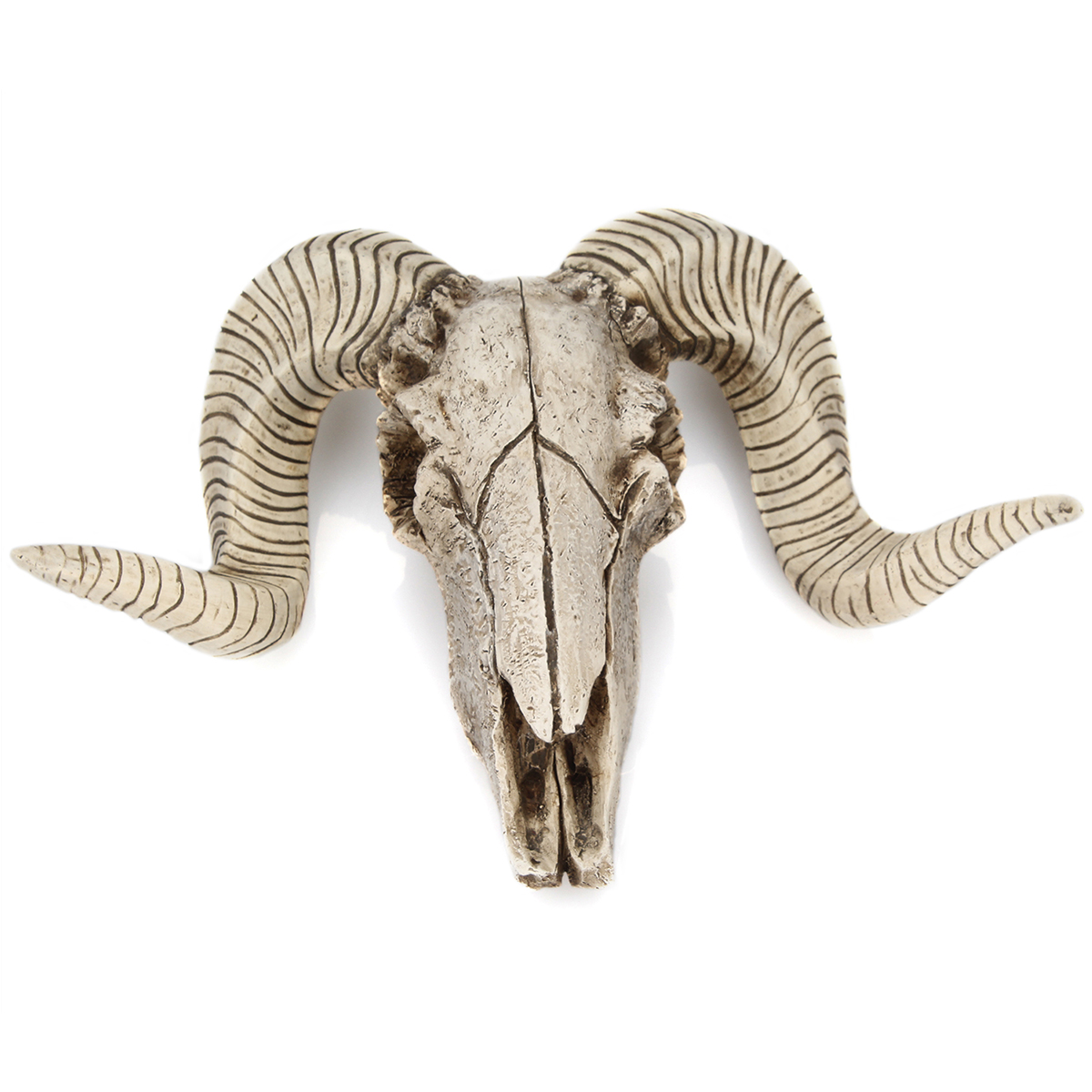 

Skull Sheep Head Realistic Animal Resin Wall Art Sculpture Wall Hanging Decorations
