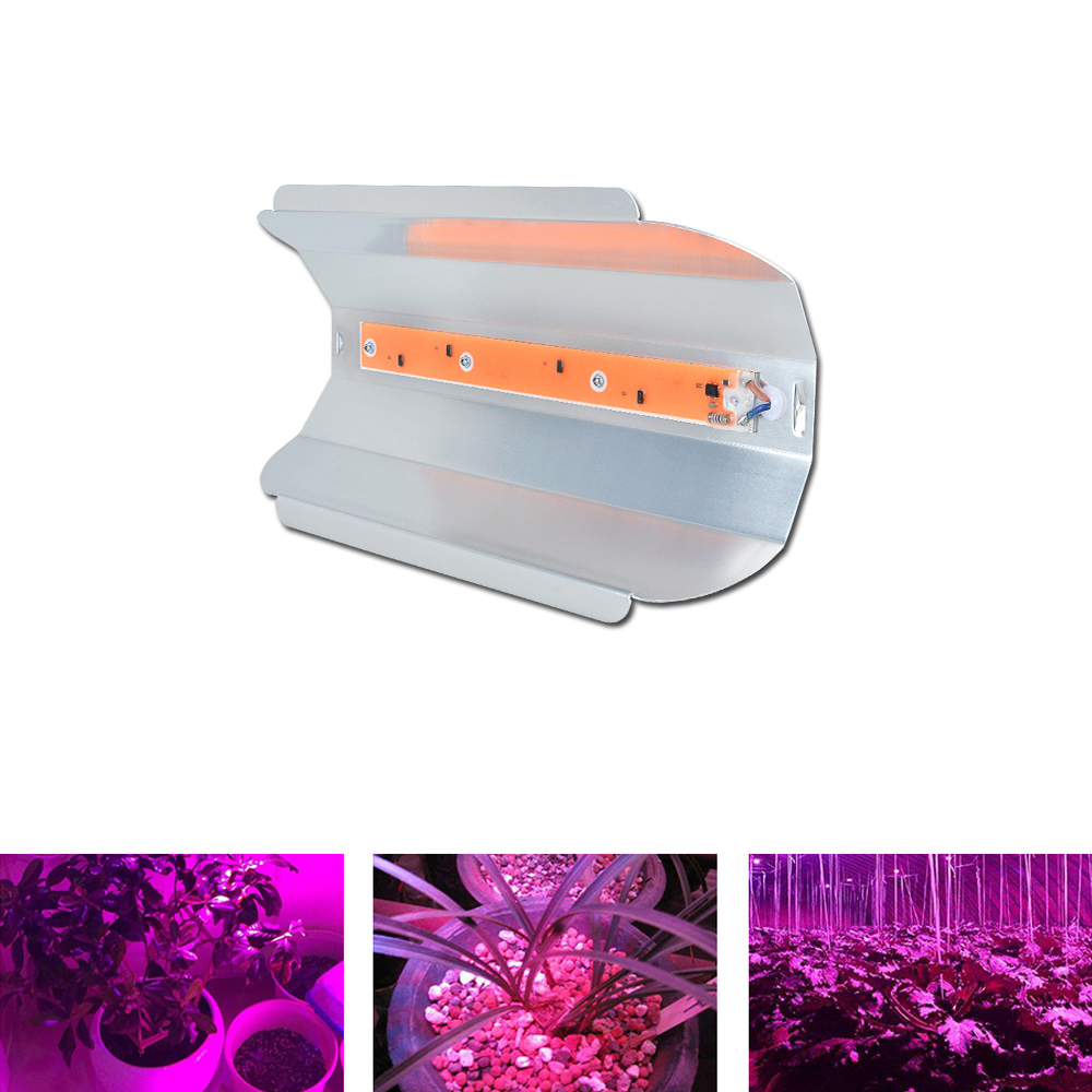 

50W Full Spectrum Waterproof IP65 Thunder Protection COB LED Plant Flower Grow Light AC220-240V