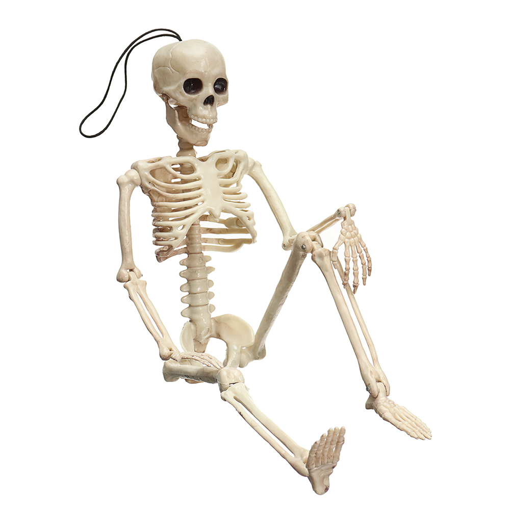 

Creepy Human Skeleton Skull Figurine Scary Halloween Skeleton Prop Party Decorations