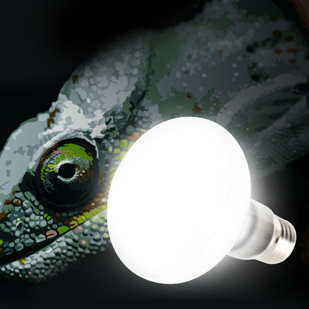

E27 25W 40W 60W 75W 100W UVA Light Bulb Reptile Pet Terrarium Brooder Heater Lamp AC220-240V