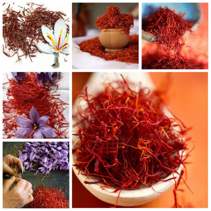 

Egrow 1000Pcs/Pack Saffron Seeds Outdoor Flower Bonsai Iran Saffron Potted Plant For Home Garden Planting