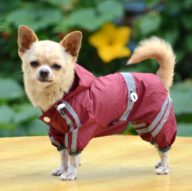 

Дождевик для собак Светоотражающий Тедди Одежда Four Feet Водонепроницаемы Плащ Зонтик Щенок для собак Все включено Пончо для животных