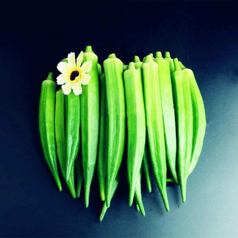 

Egrow 20PCS/Pack Okra Seeds Organic Non GMO Okra Vegetable Flores For Home Garden Potted Plants