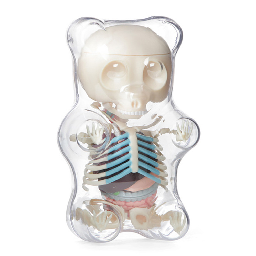 

4D MASTER STEM Anatomy Model Gummi Bear Skeleton Anime Assembly Action Figure Gifts Science Animal Model