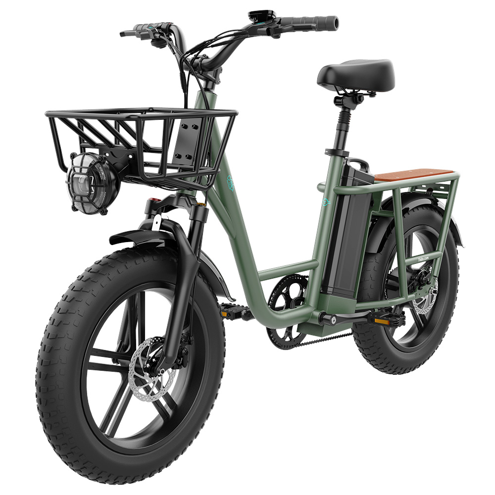 Find [US Direct] FIIDO T1 48V 20AH 750W 20*4.0in Electric Bicycle 150 KM Mileage 150 KG Payload Mechanical Disc Brake Electric Bike for Sale on Gipsybee.com with cryptocurrencies