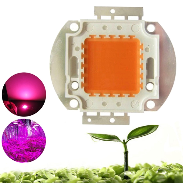 

100W Full Spectrum 380-840nm COB LED Увеличить светлый чип DIY для внутреннего использования Растение