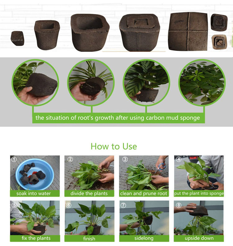 Soilless Culture Nutrition Carbon Mud Sponge Plant Growth Flowerpot with Photo Frame