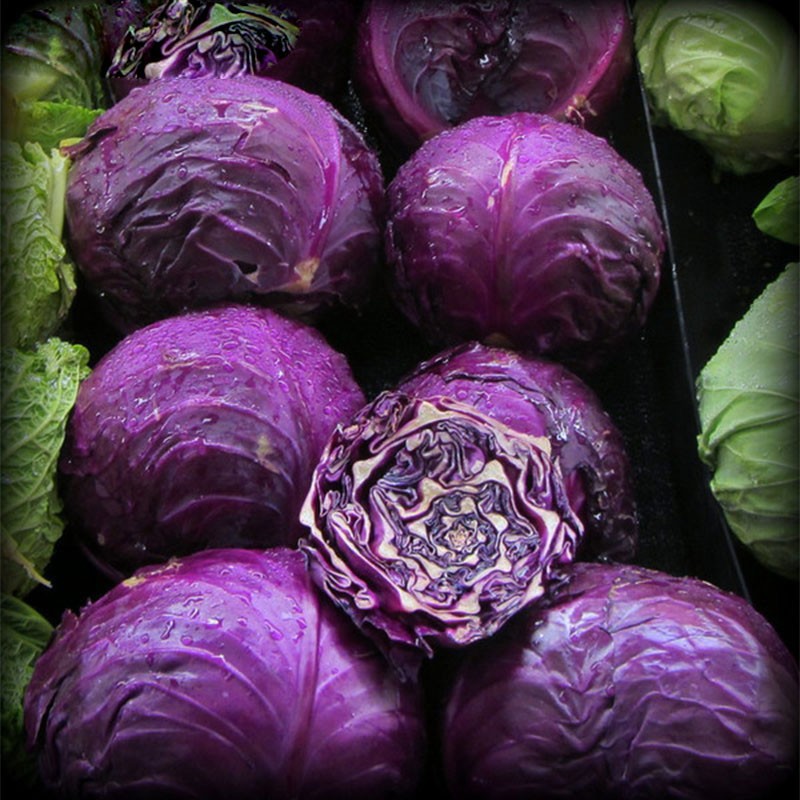 

Egrow 100Pcs / Pack Фиолетовая капуста Семена Органические сезоны Здоровые овощные растения