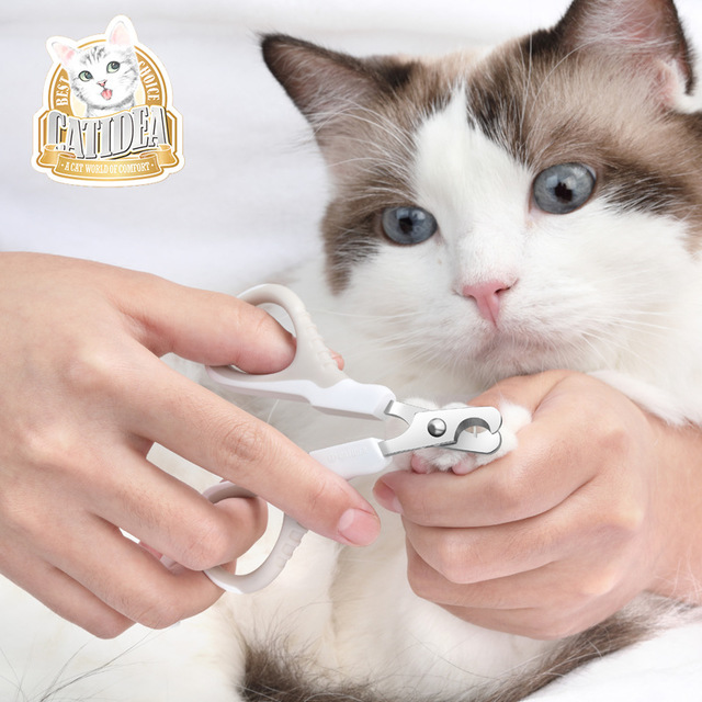 

Cat Le Shi Cat Ногти Ножницы из нержавеющей стали Ногти Машинки для стрижки в Cat Cat Маникюр Pet Cat Поставляет Щенка