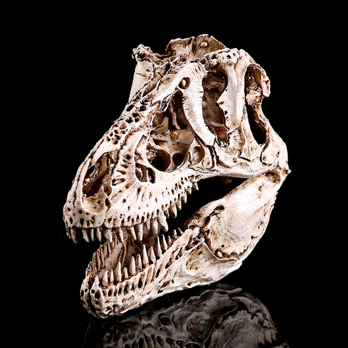 

16cm Tyrannosaurus T-Rex Dinosaur Resin Skull Model Collectibles Toys Display Craft Gift