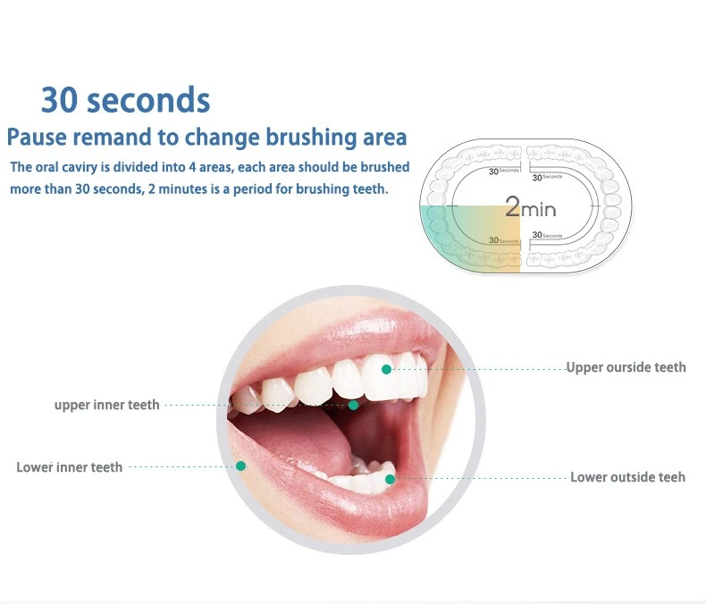 LanSung U1 USB Sonic Teeth Clean Whitening Smart Electric Toothbrush Oral Gum Care Rechargeable