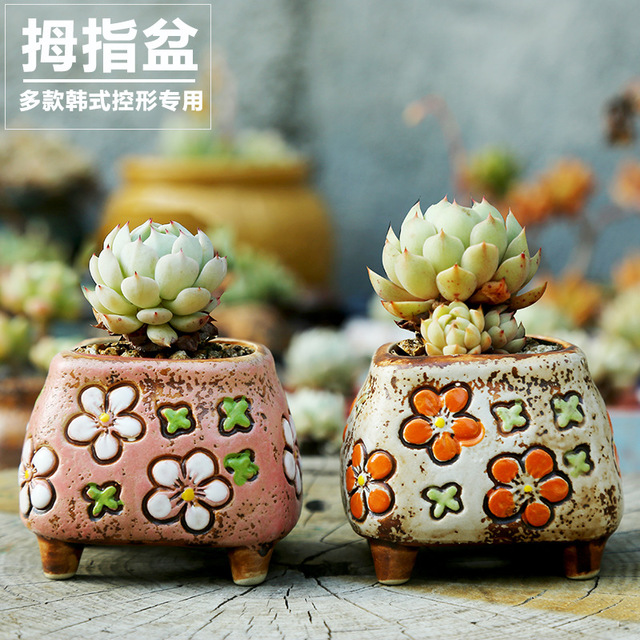 

Korean Style Hand-painted Multi-muscle Thumb Potted Control Ceramic Simple Peach Egg Plant Stoneware Simple Small Flower Pot