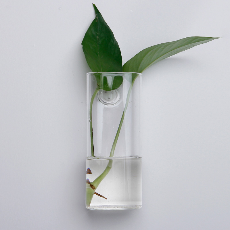 long tube wall-mounted glass vase